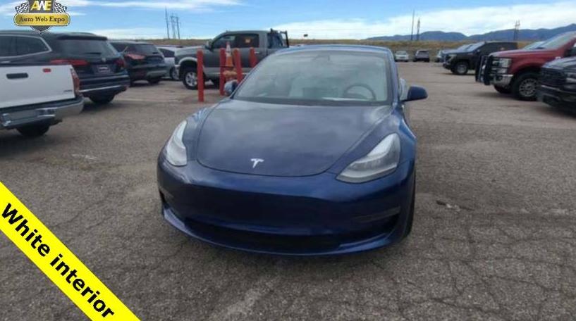 TESLA MODEL 3 2021 5YJ3E1EC3MF028292 image